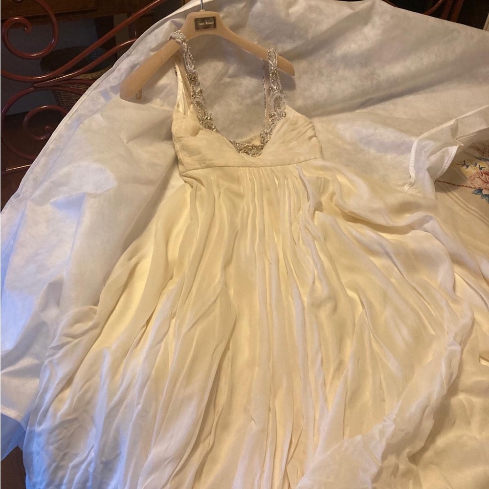 Jenny Packham Ophelia Ivory Beaded Wedding Dress - Picture 9 of 10